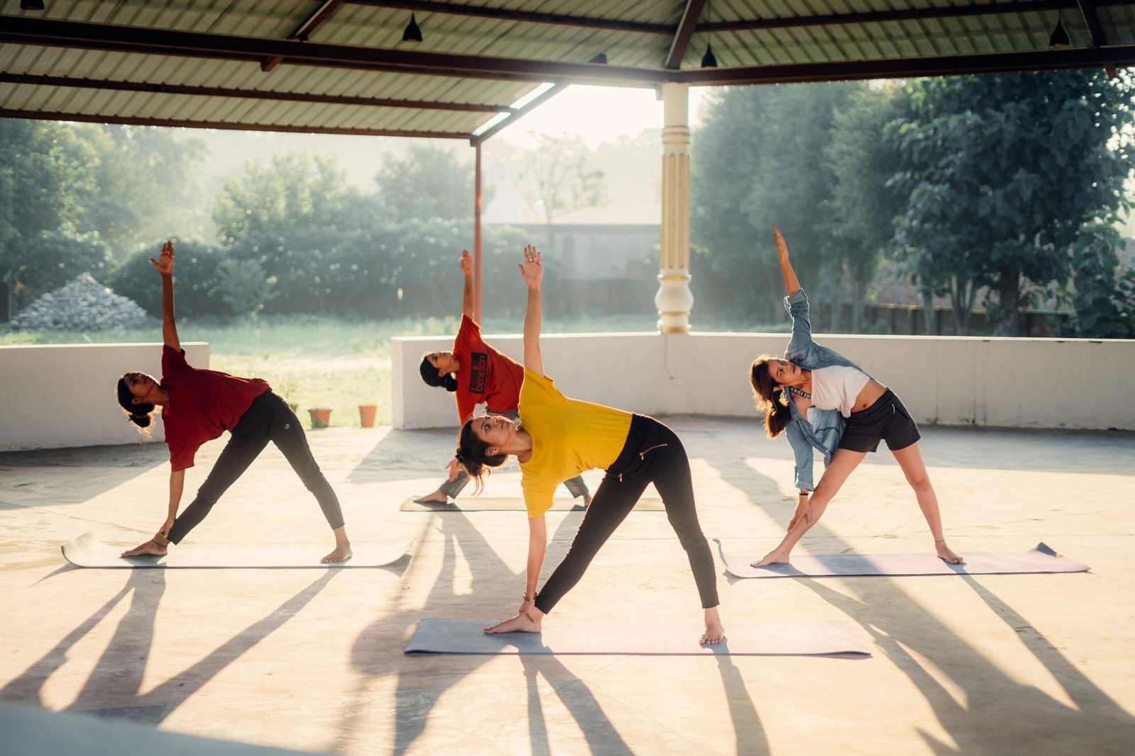 Yoga Teacher Training Course