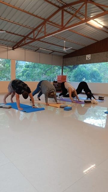 Benefits of Yoga