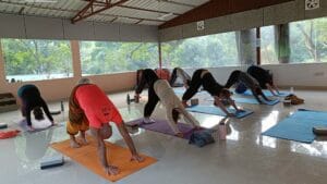Read more about the article 100 Hour Yoga Teacher Training in Rishikesh: Your Gateway to Yogic Wisdom