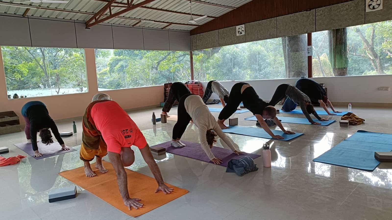 Read more about the article 100 Hour Yoga Teacher Training in Rishikesh: Your Gateway to Yogic Wisdom