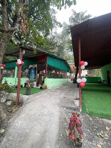 Yoga School In Rishikesh